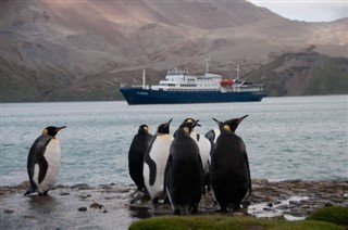 Falklandsöarna