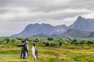 福克蘭群島