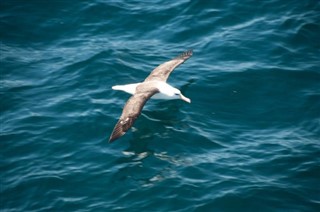 Falklandsøyene