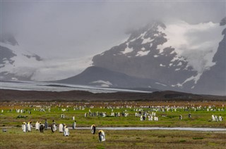 Falklandsøyene