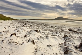 Falklandsøyene