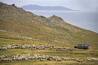 Falklandsöarna