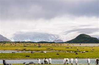 Falklandsöarna