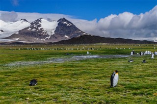 Falklandsøyene