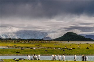 Falklandinsaaret