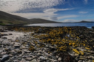 Falklandsøyene