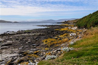 Falklandsøyene