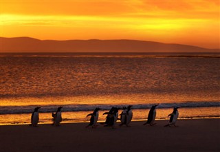 Falklandy