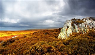 Falklandsøerne