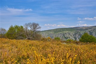 Фолклендские