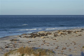 Falklandsøyene