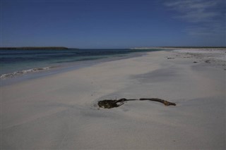 Falklandsøerne