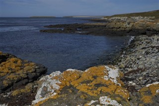 Falklandsöarna