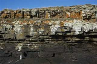 フォークランド諸島