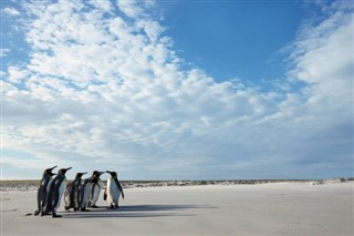 フォークランド諸島