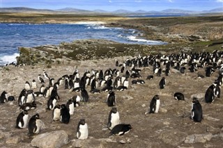 Falklandsöarna