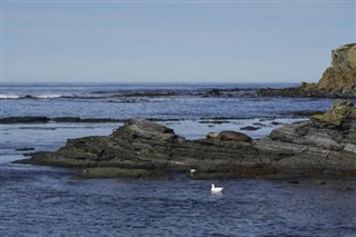 Falklandsøerne