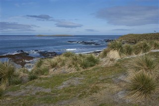 Falklandseyjar