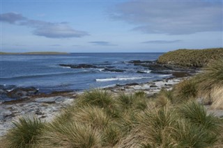 Falklandsøyene