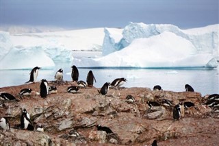 Falklandseyjar