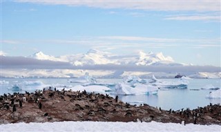 Falklandinsaaret