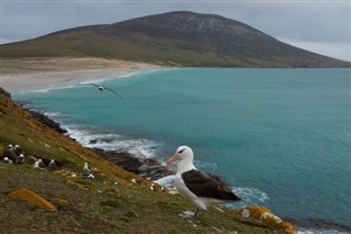 Falklandsøerne