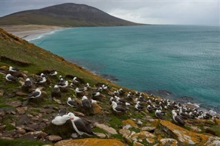 Falklandsöarna