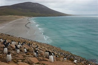 Falklandsøyene