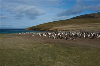 Falklandsøerne