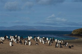 Falklandseyjar