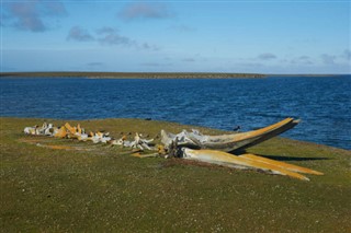 Falklandsöarna