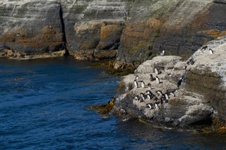 Falklandsöarna