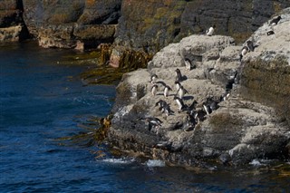 Falklandsöarna