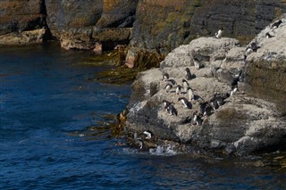 Falklandsøerne