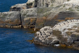 Falklandsøerne