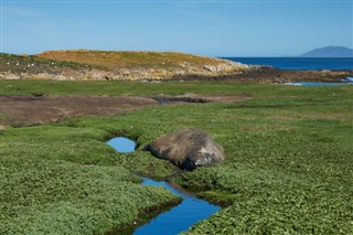 Falklandsøyene