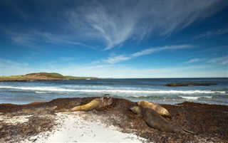 Falklandsøyene