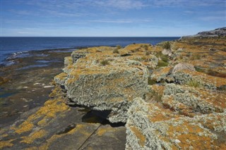 Falklandsøerne