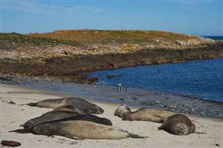 Falklandsöarna