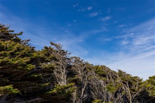 Falklandsöarna