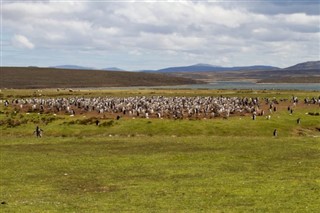 Falklandy