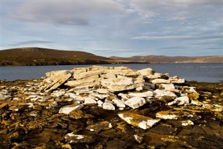 Falklandsöarna