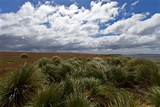 Falklandinsaaret