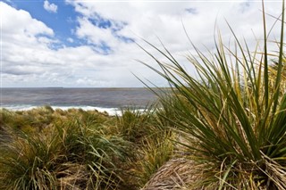 Falklandsøerne