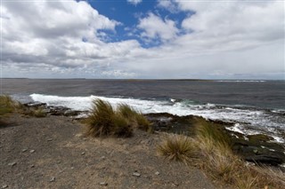 Falklandsøyene