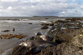 Falklandsøerne
