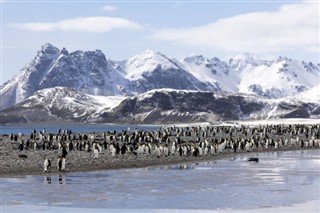 Falklandsøyene