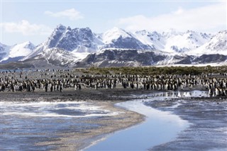Falklandsöarna