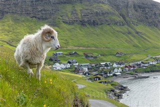 Faroe