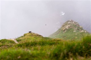 法羅島